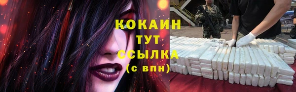 винт Гусь-Хрустальный