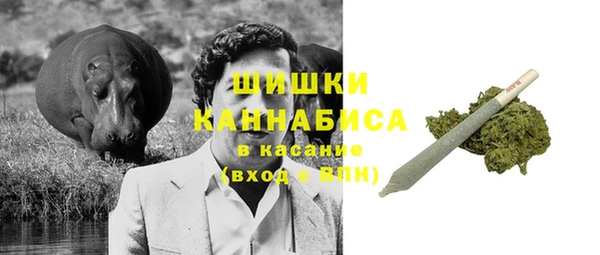 винт Гусь-Хрустальный