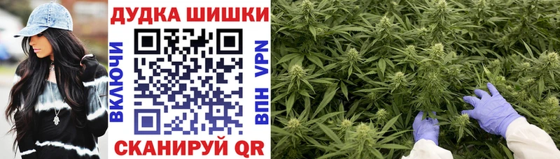Купить закладки  Кяхта  Марихуана сатива 